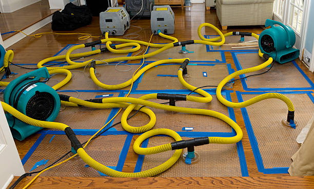 Professional Basement Flood Cleanup technician working in Newbern, TN